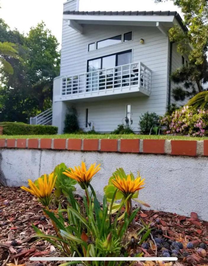 Large Luxury Studio With View In Santa Monica Eksteriør billede